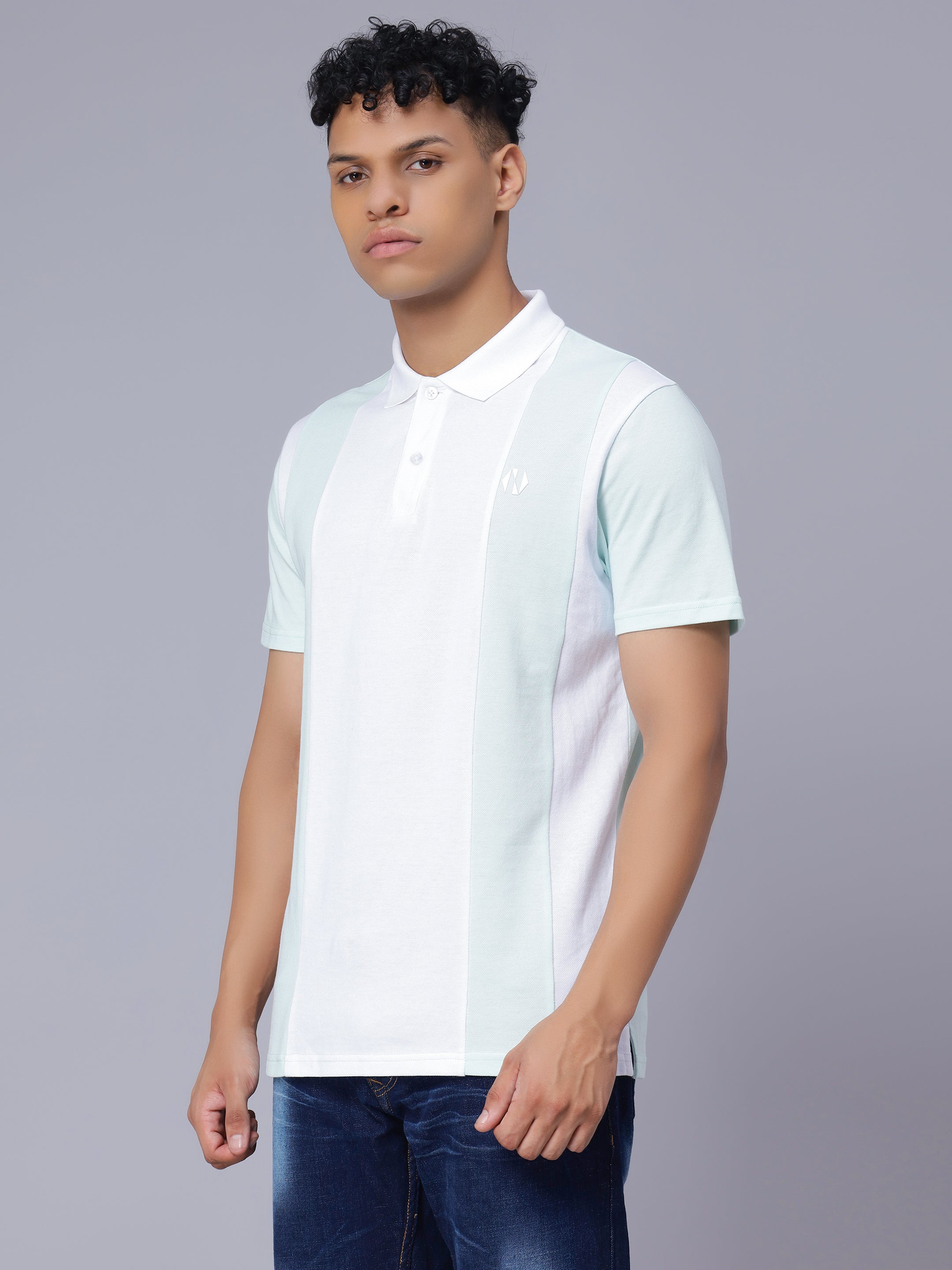 Regular Parallel Colour Blocked Polo T-shirt for Men