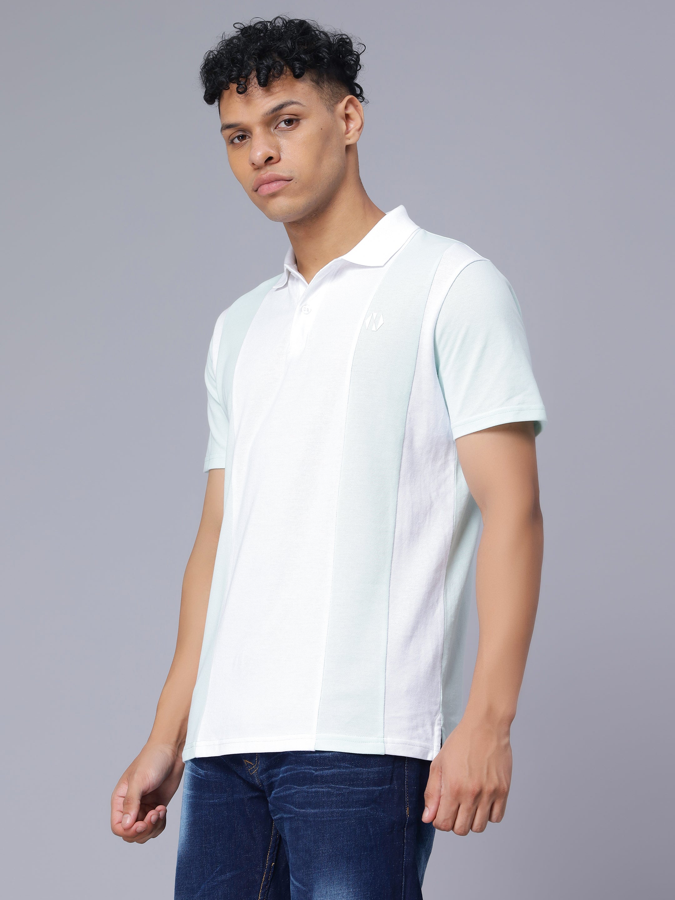 Regular Parallel Colour Blocked Polo T-shirt for Men